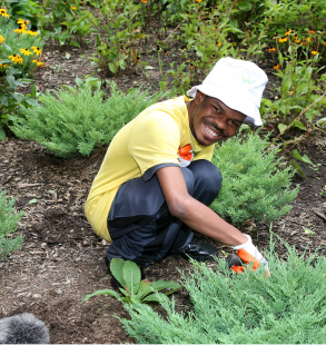 Man gardening